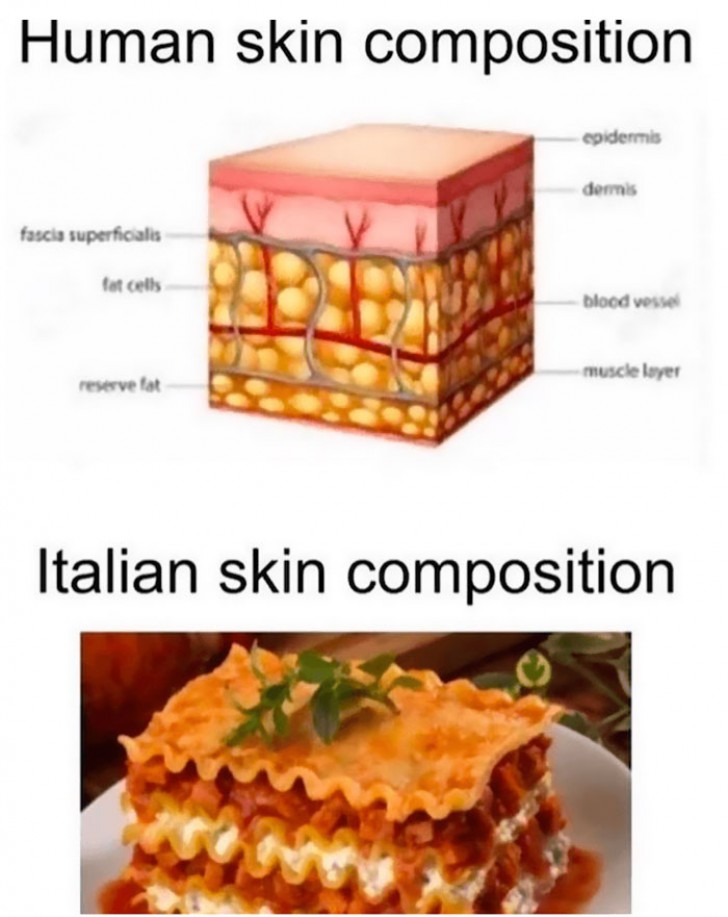 15. La différence entre la composition de la peau humaine et de la peau d'un italien