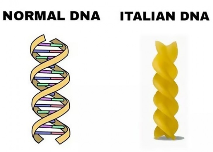 2. ADN normal comparé à celui d'un italien.