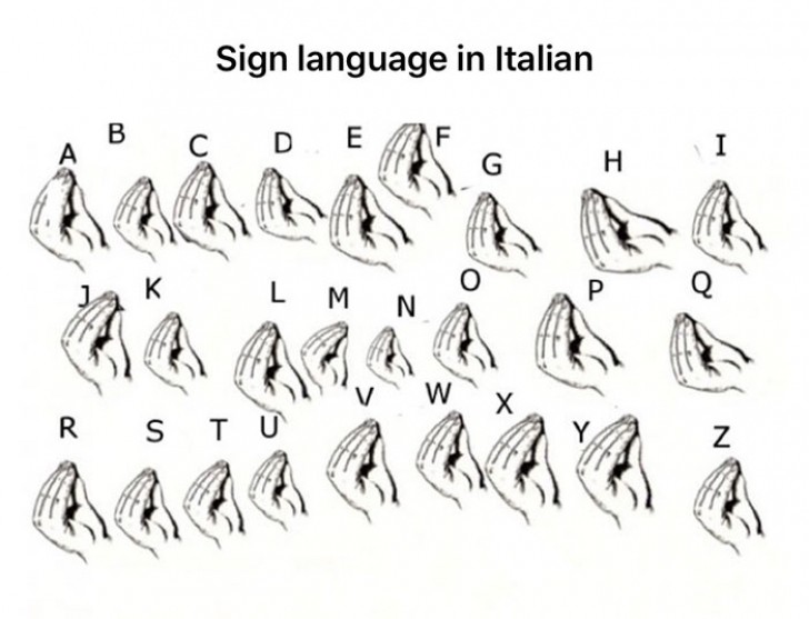 4. Italiaanse gebarentaal.