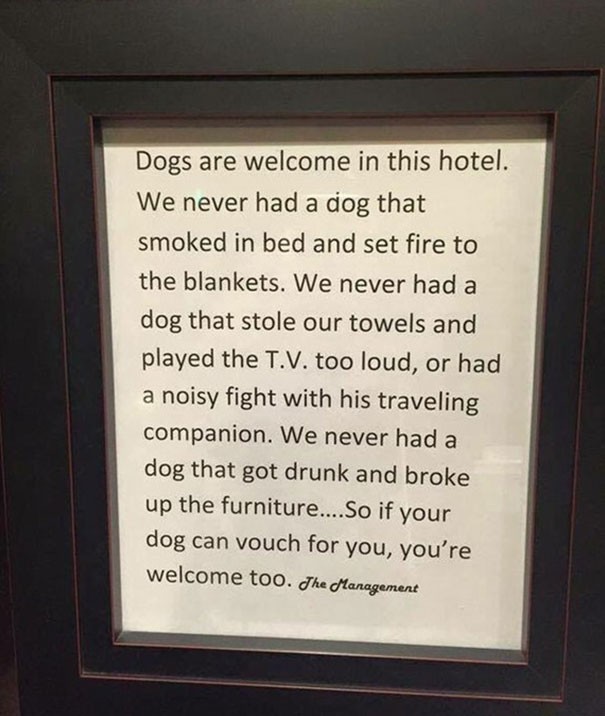 1. La singolare politica sugli animali dell'hotel.