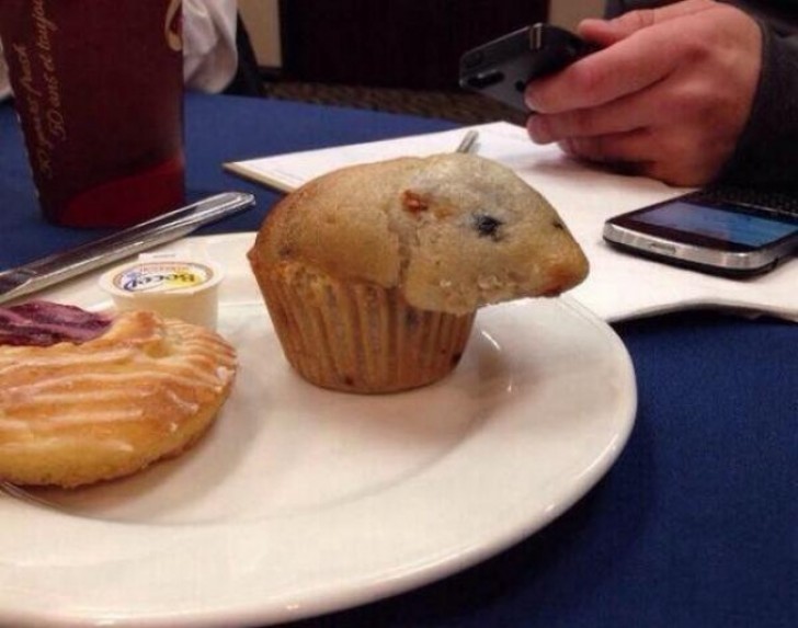 17. C'è un criceto nel mio muffin!