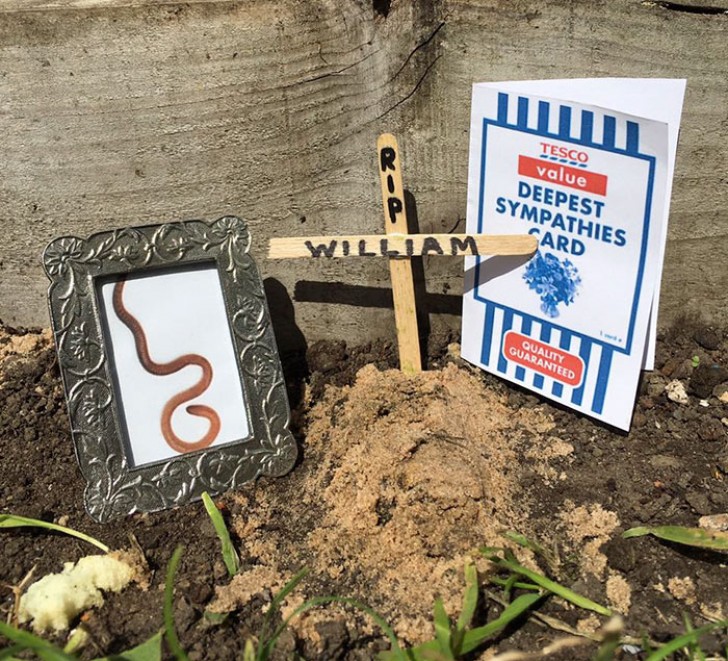 To this message, Wes responded by posting a photograph depicting William the Worm's funeral.
