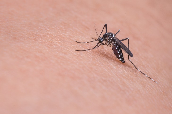 7 motivi per cui vieni punto dalle zanzare molto più di chiunque altro - 1