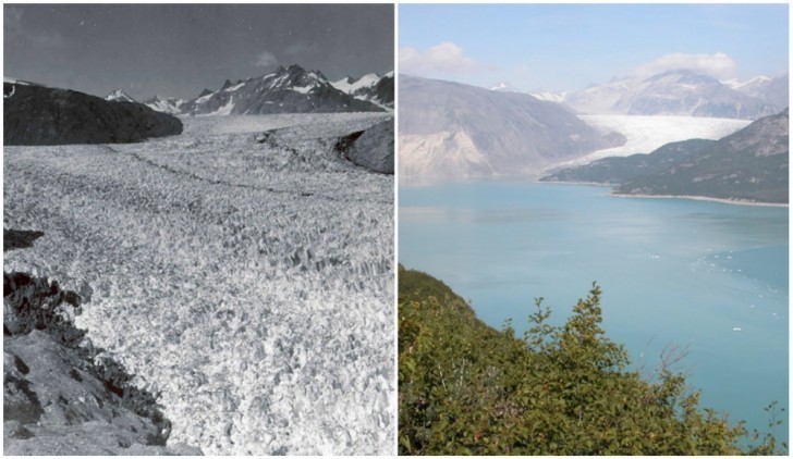 20. Ghiacciaio Muir, Alaska. Agosto 1941 - Agosto 2004
