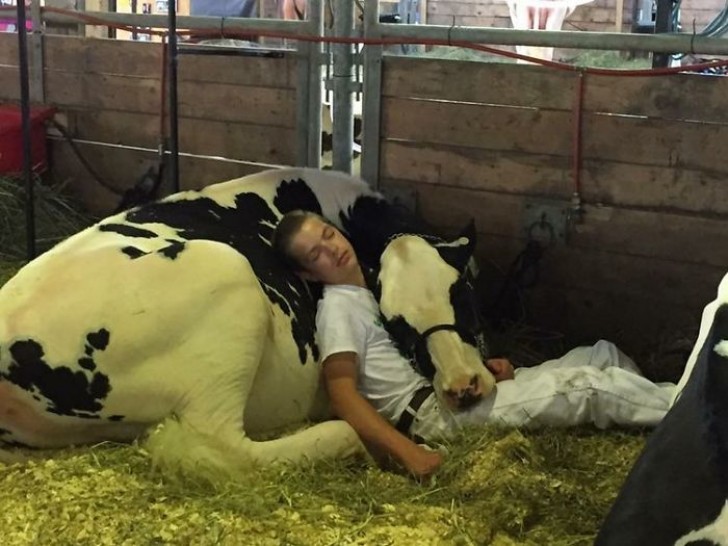 Hoewel ze de race niet hebben gewonnen, wisten ze met deze schattige foto de harten van mensen over de hele wereld te veroveren.