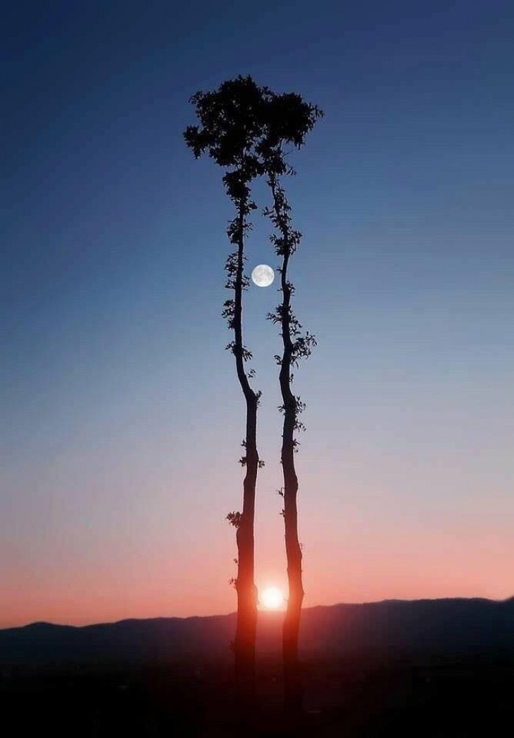 24. La Luna e il Sole in un solo scatto.