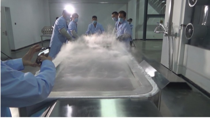 Il corpo della signora Zhan è attualmente conservato dentro a 200 litri di azoto liquido a una temperatura di -196°.