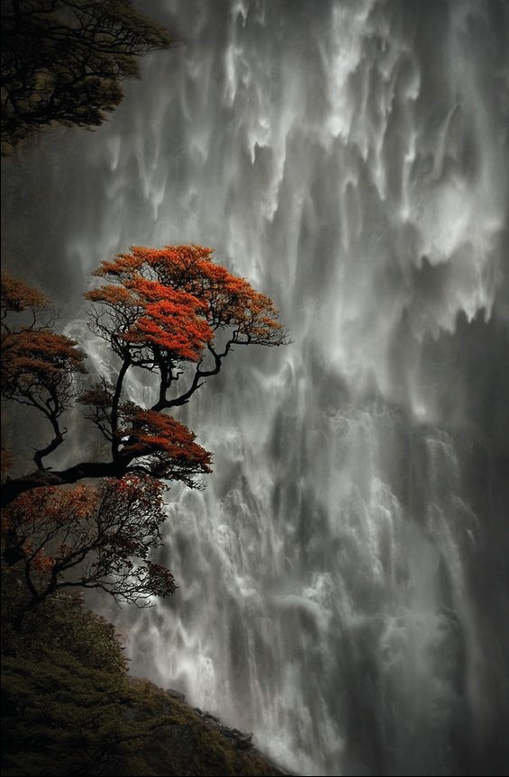 Stunning waterfalls in New Zealand