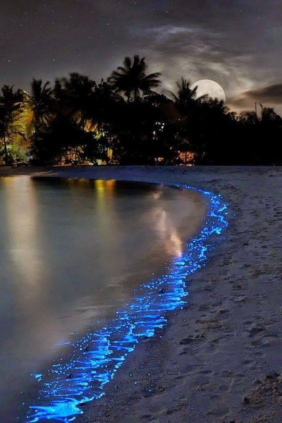 Maldive, isola Vaahdoo: la bioluminescenza del fitoplancton crea un fenomeno indimenticabile