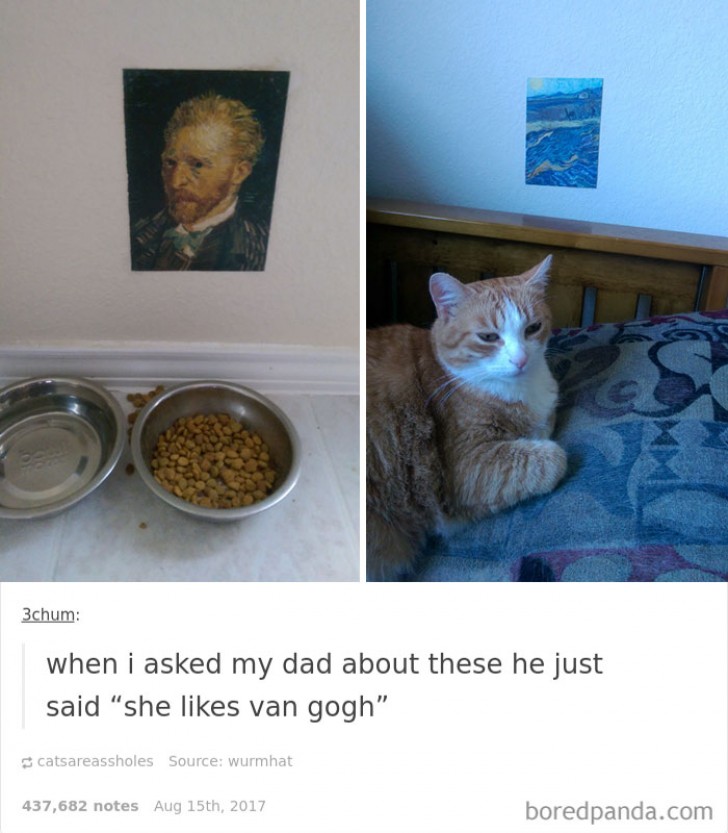 15. "Toen ik mijn vader om uitleg vroeg zei hij simpelweg: ze vindt Van Gogh mooi."