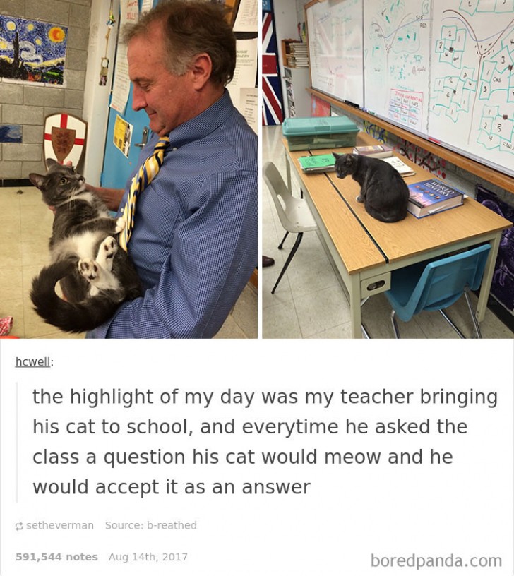 2. Deze leraar nam zijn kat mee naar de les en elke keer als de leerlingen antwoord gaven en de kat miauwde dan werd het antwoord goedgekeurd.