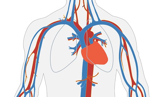 3. Rythme cardiaque irrégulier
