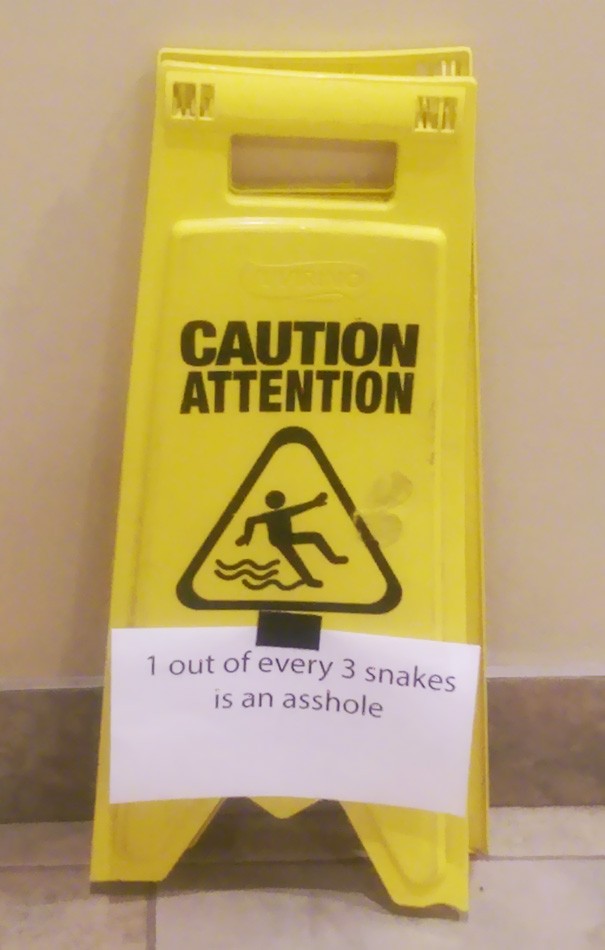 7. Attention, un des trois serpents est dangereux.