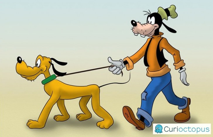 Pluto en Goofy allebei honden, maar eentje is het baasje en de ander de hond...