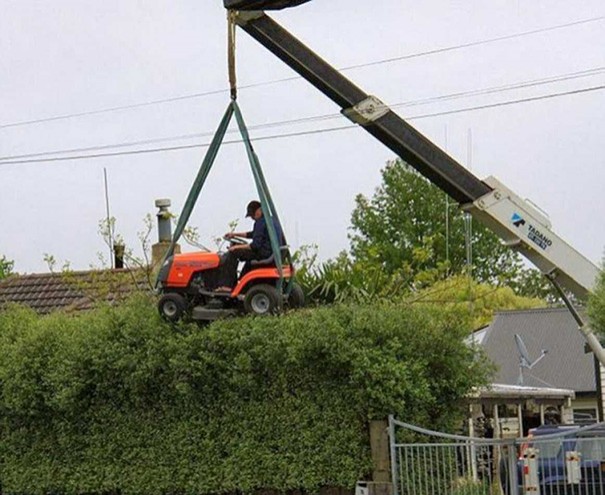 14. Wer schneidet die Hecke nicht auf diese Weise?!