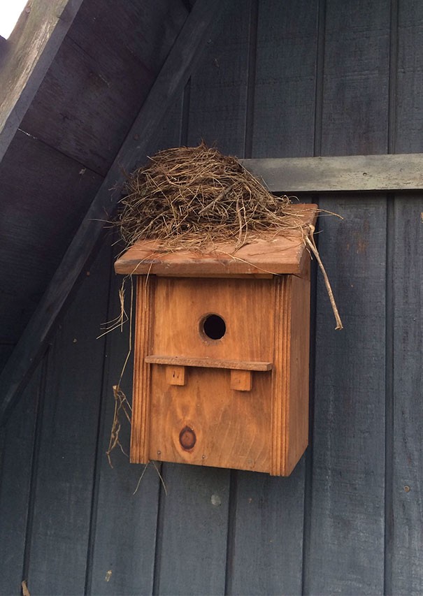 21. Eine wunderschönes Vogelhaus um sein Nest drauf zu bauen