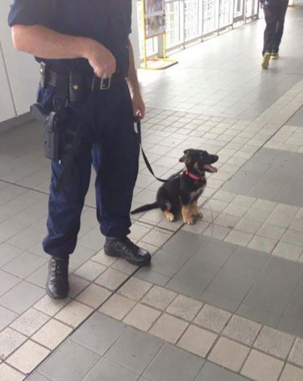 Eines Tages wird er ein großer Polizist sein!