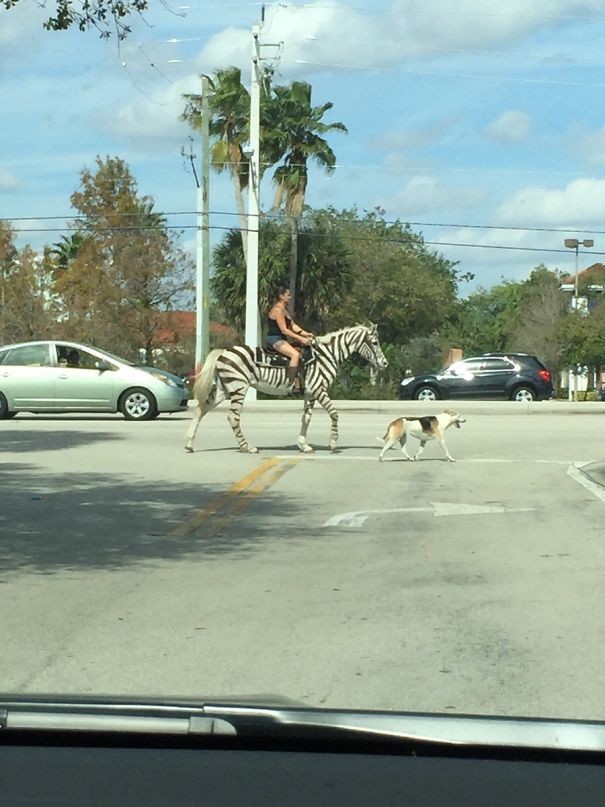 A scene in Florida. We have no further details.