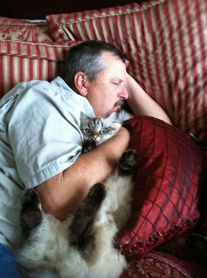 Mon père déteste tellement notre chat qu'il ne peut pas s'en séparer même quand il dort!
