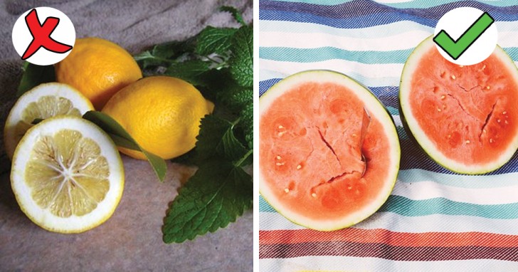 Zitronen und Wassermelonen