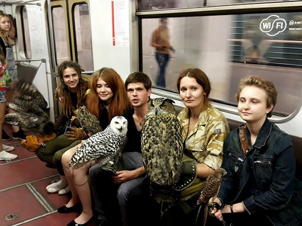 Meanwhile in the subways of Moscow ...