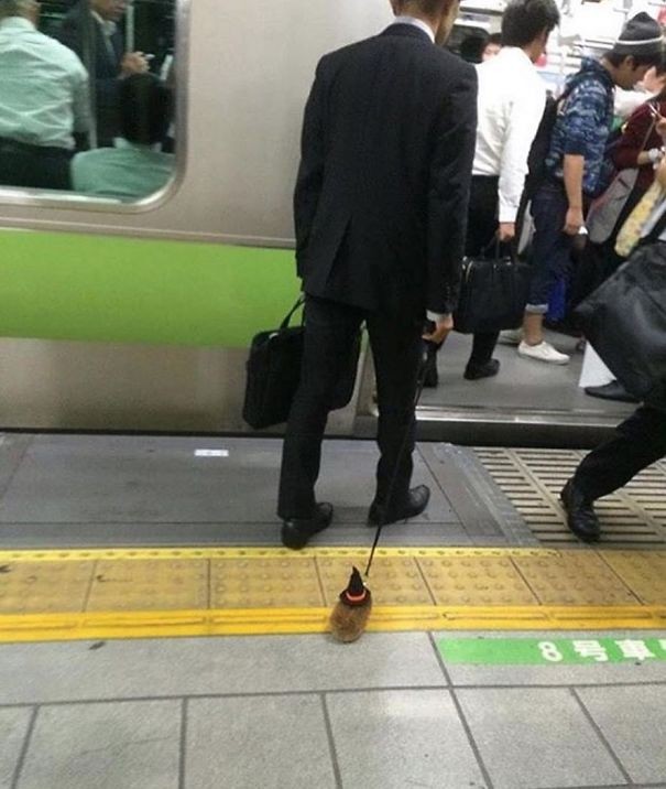 In the subway with .... a hamster on a leash. Unmistakably.