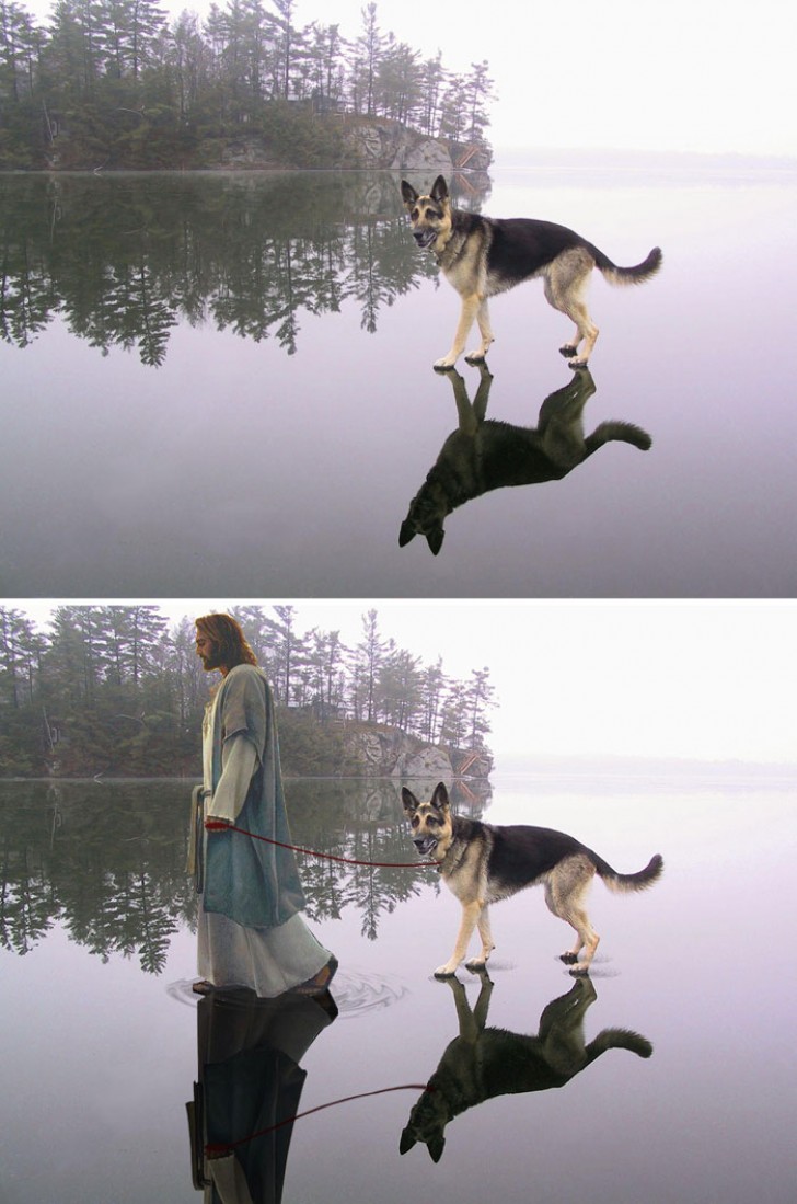 1. Wenn dieser Hund auf Wasser gehen kann, kann sein Herrchen nur einer sein...