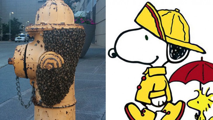 12. Dieser Hydrant voller Bienen sieht aus wie Snoopy mit einem Hut