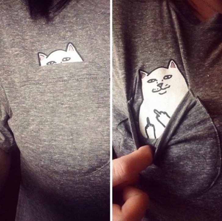 1. The T-shirt with a cat.
