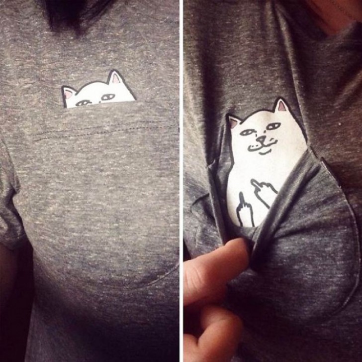 1. La camiseta con el gato.