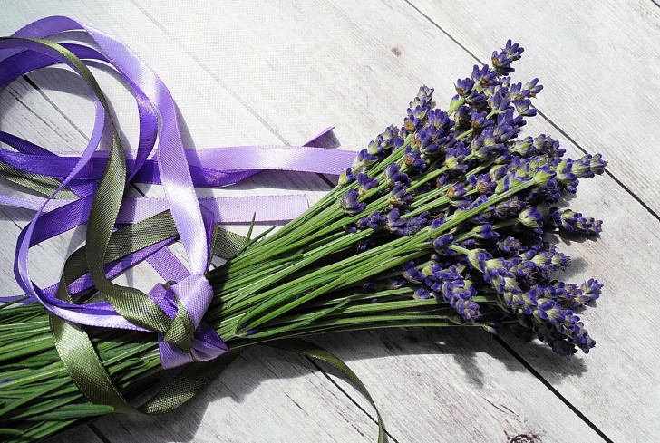 1. Lavendel