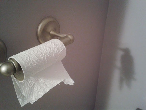 16. This roll of toilet paper is about to end, so it turns into a shadow bird and flies away.