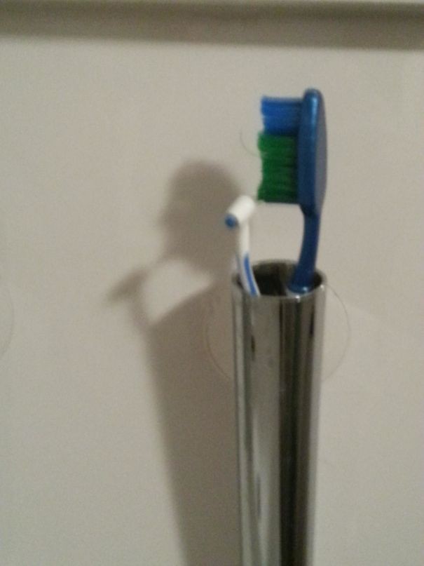 8. Mes brosses à dents s'occupent de leur hygiène buccale, apparemment!