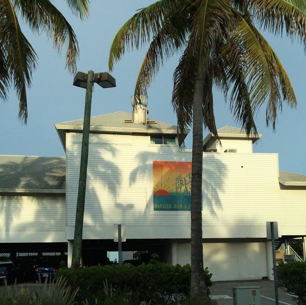 9. The shadow of palm tree fronds creates a beautiful drawing of a lion's face.