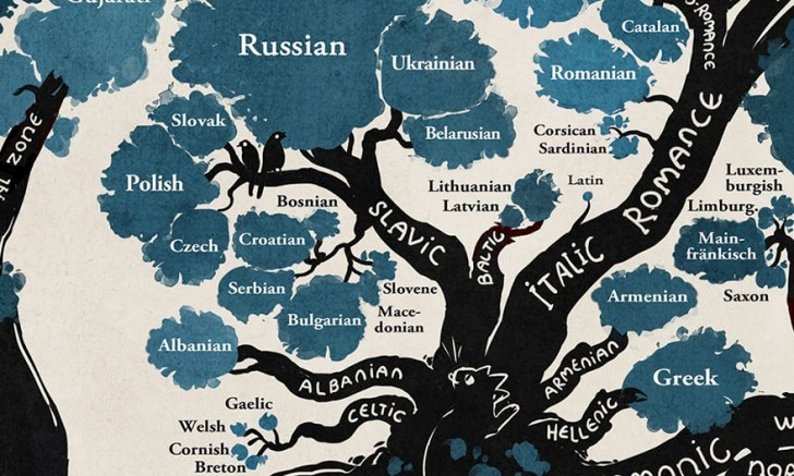 Die europäischen Sprachen teilen sich in viele Äste auf, aber die Hauptäste sind: Slavisch, romanisch (italisch) und germanisch. Seht euch vor allem die Komplexität des slavischen Astes an.