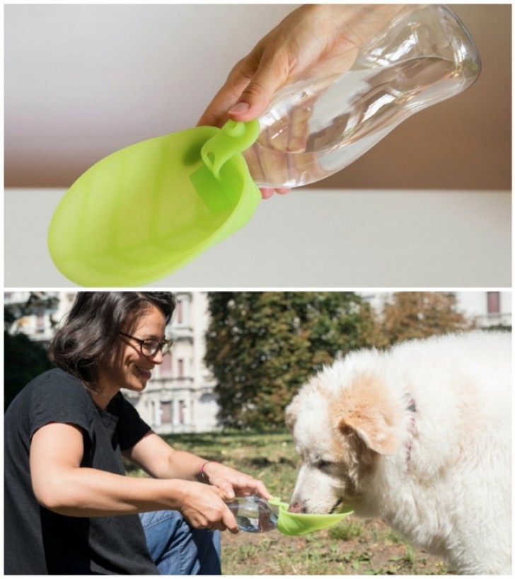 10. Eine Flasche mit Napf für Tiere