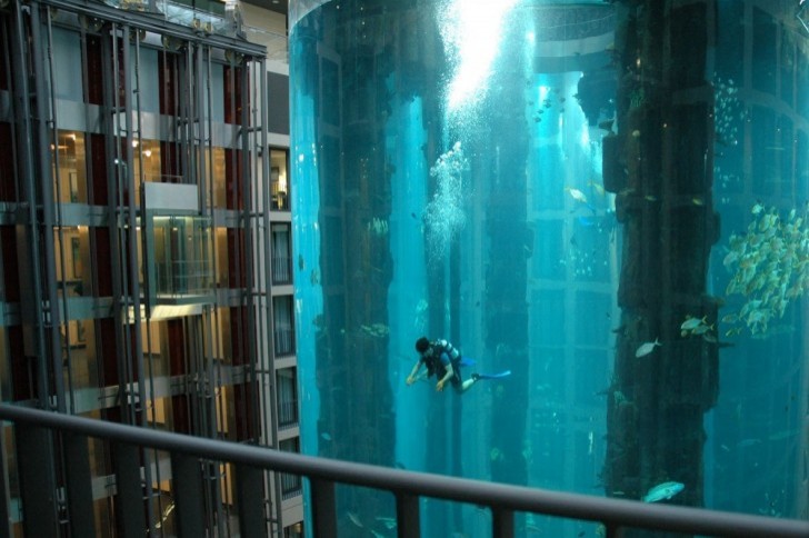 5. Een enorm groot aquarium is vervangen door een lift: er leven 1500 vissen in.