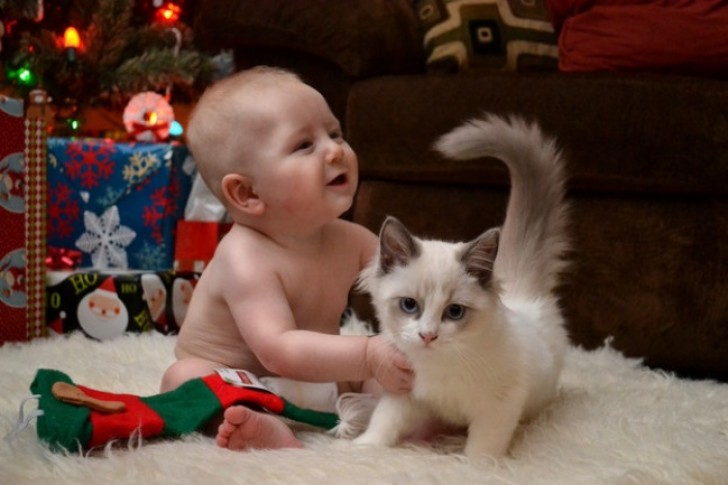 9. The happiness of children who grow up with pets.
