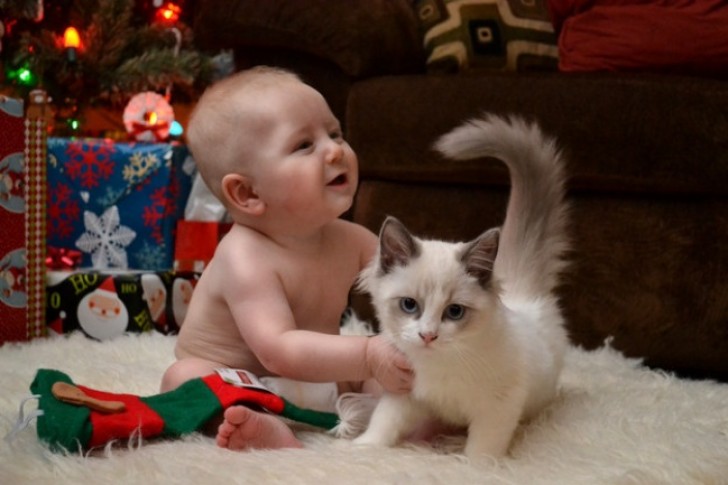 9. La felicidad de los niños que crecen con los animales.