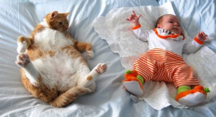 15. De kat doet de baby na in zijn eerste bewegingen.