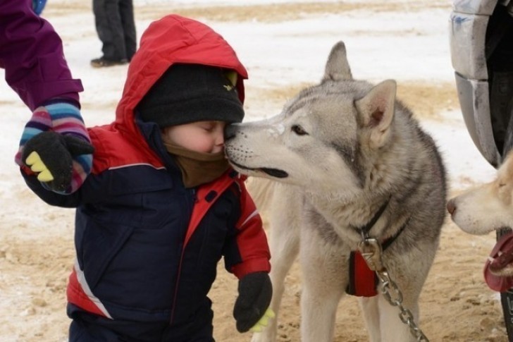 7. Der Beginn einer langen Freundschaft.