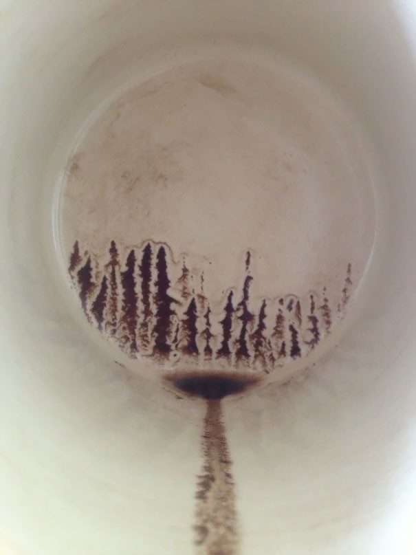 3. Il fondo di caffè ha disegnato una foresta.
