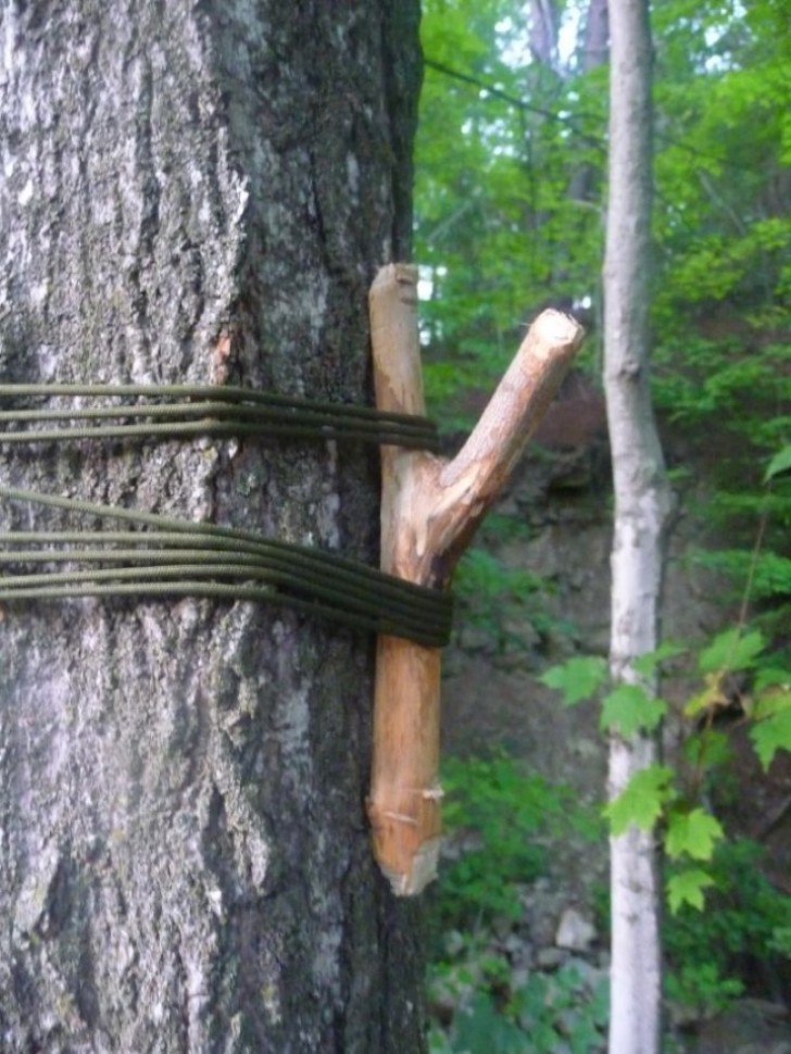 11. Zo gebruik je bomen om kleding en rugzak aan op te hangen.