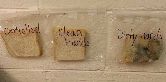 È importante lavarsi le mani? L'esperimento di questa maestra non lascia dubbi - 2