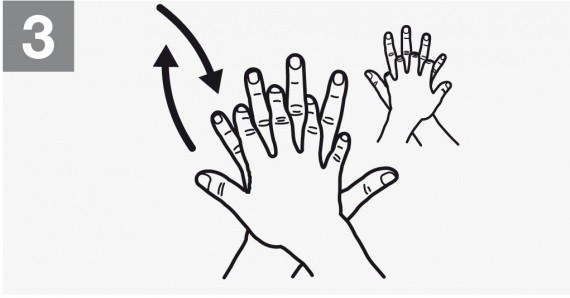 4. Superposez la paume de la main sur le dos de l'autre main et unissez vos doigts en les frottant.