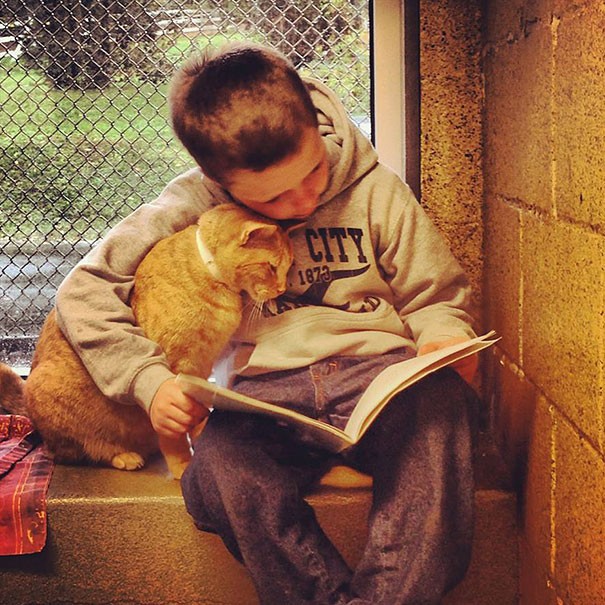 Exemple de thérapie de lecture dans un refuge pour animaux.