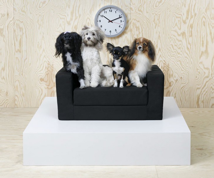 En dat doet het bedrijf door een meubellijn te lanceren die specifiek voor huisdieren is.