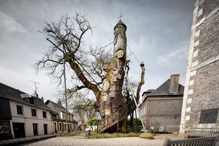 Un albero millenario con all'interno una cappella (Francia).