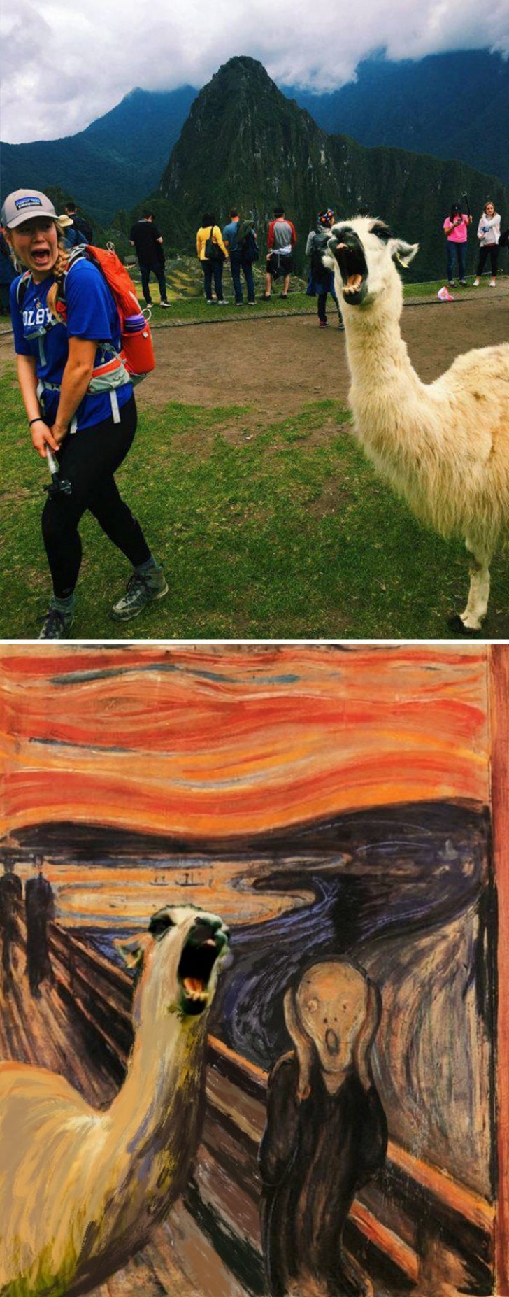 Munch ha preso ispirazione da lui.