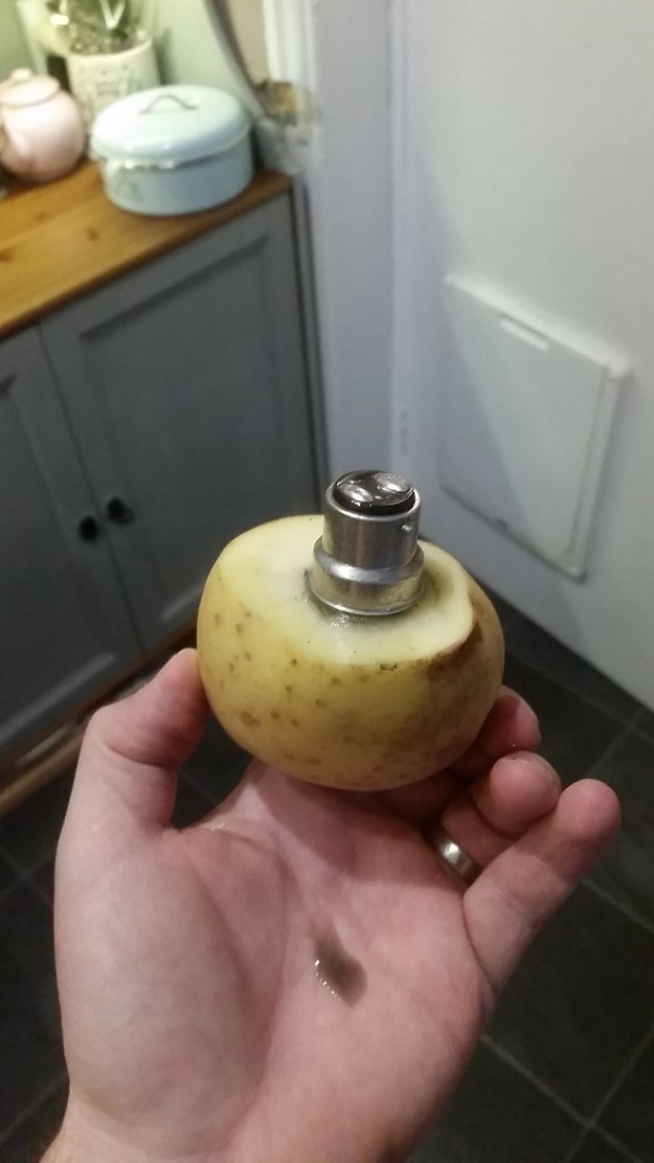 23. När glödlampan exploderar kan du använda en skuren potatis för att ta bort den från fästet.